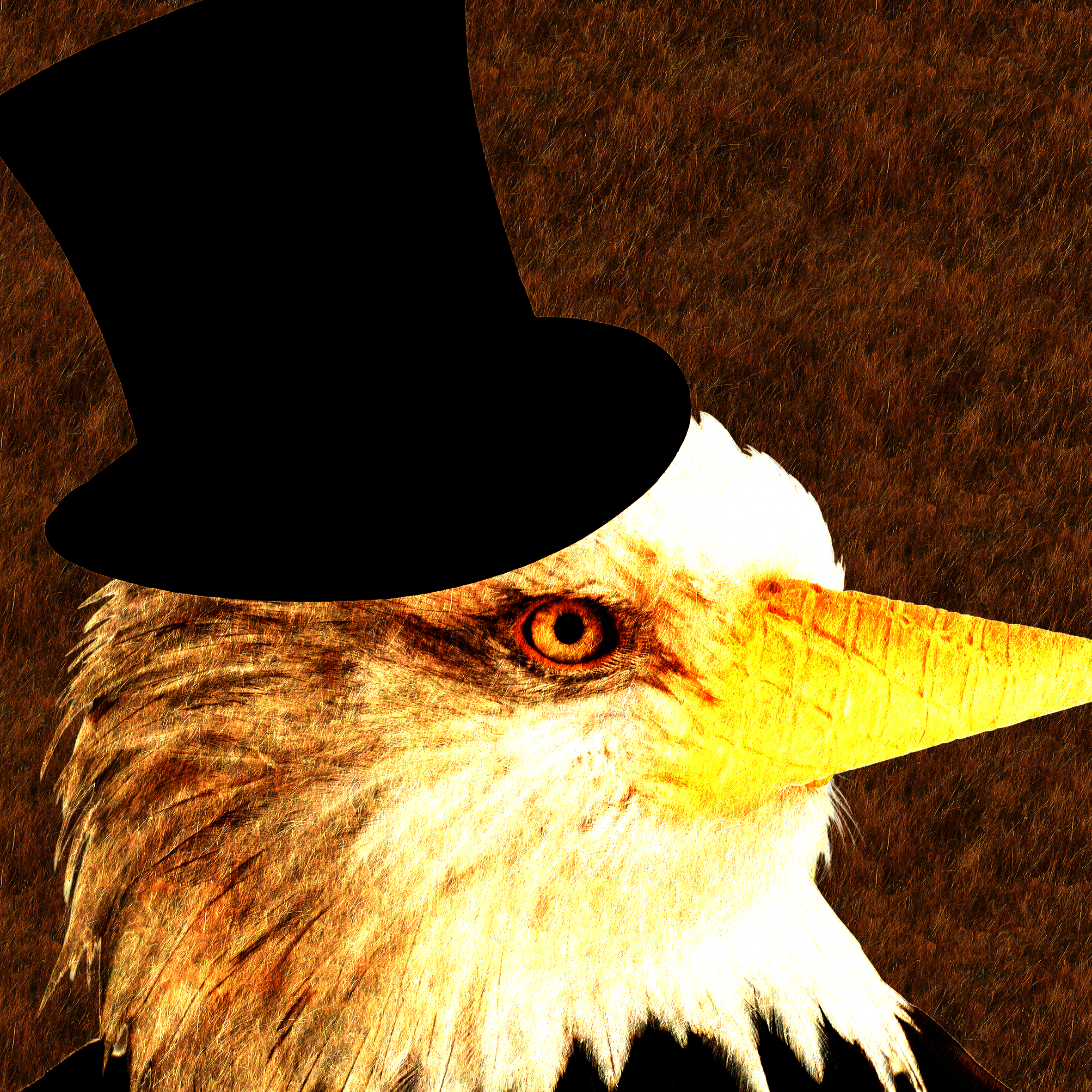 Eagle Design
